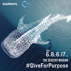 The Descent Mission ร่วมมือกันอนุรักษ์ทะเล