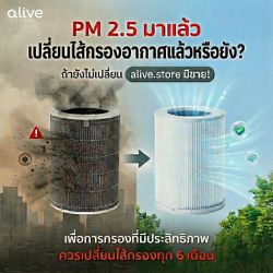 PM 2.5 วิกฤต การเปลี่ยนไส้กรองอากาศสำคัญอย่างไร?