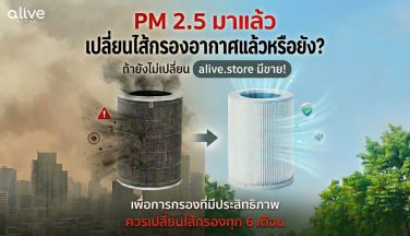 PM 2.5 วิกฤต การเปลี่ยนไส้กรองอากาศสำคัญอย่างไร?