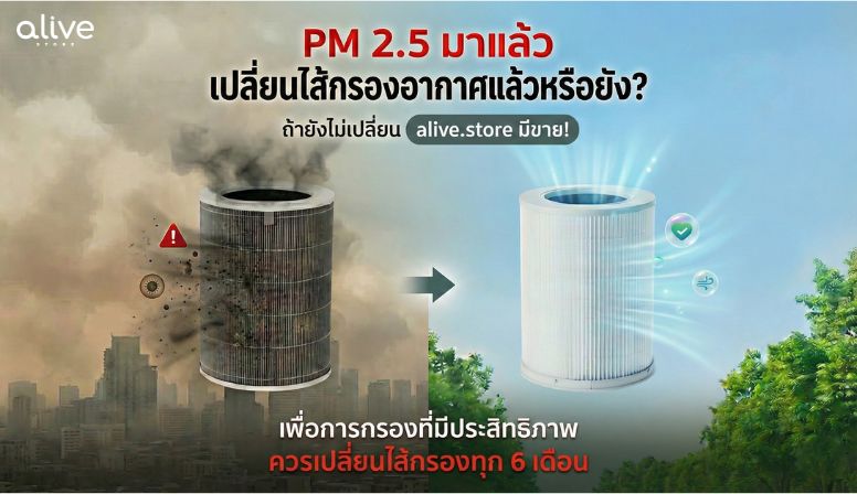 PM 2.5 วิกฤต การเปลี่ยนไส้กรองอากาศสำคัญอย่างไร?