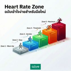 Heart Rate Zone คืออะไร – คู่มือฉบับมือใหม่หัดออกกำลังกาย